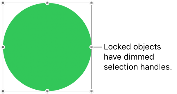 A locked object with dimmed selection handles.