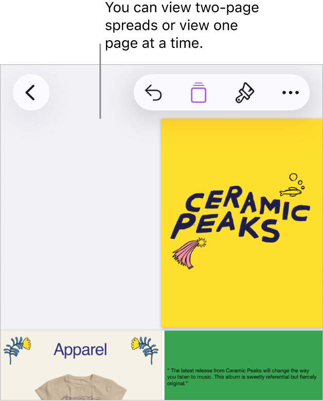 A document with pages viewed as two-page spreads.