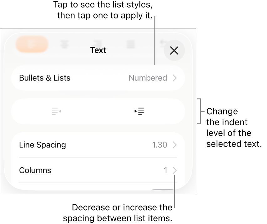 The Bullets & Lists section of the Format controls with callouts to Bullets & Lists, outdent and indent buttons, and line spacing controls.