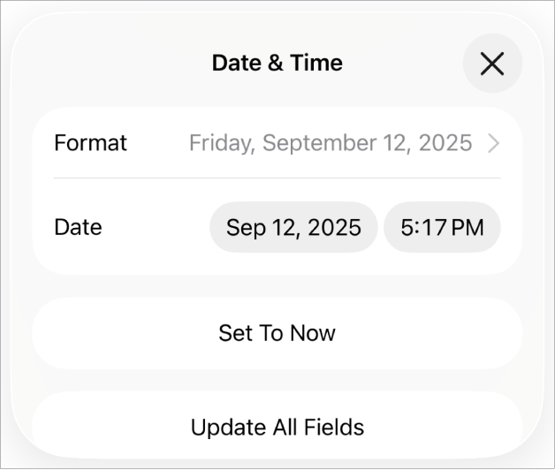 The Date & Time controls showing a pop-up menu for date Format, and Set to Now button and Update All Fields buttons.