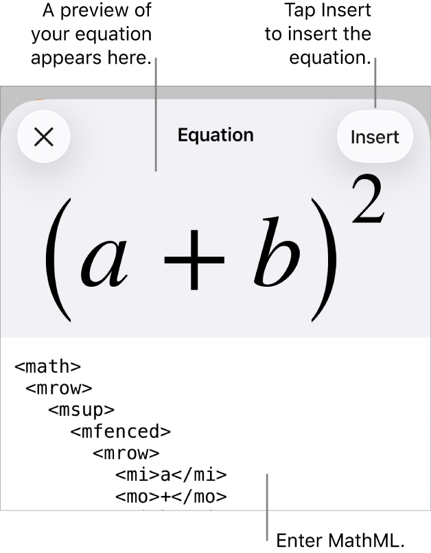 The Equation dialogue, showing an equation written using MathML commands and a preview of the formula above.