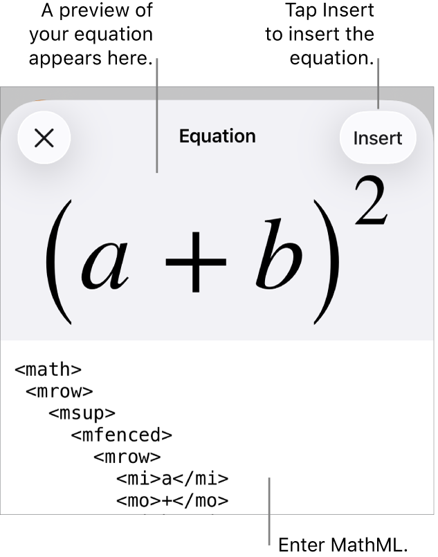 The Equation dialogue, showing an equation written using MathML commands, and a preview of the formula above.