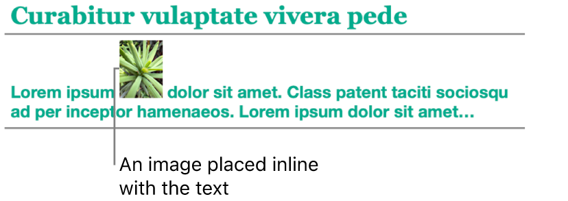 An image is placed inline with text.