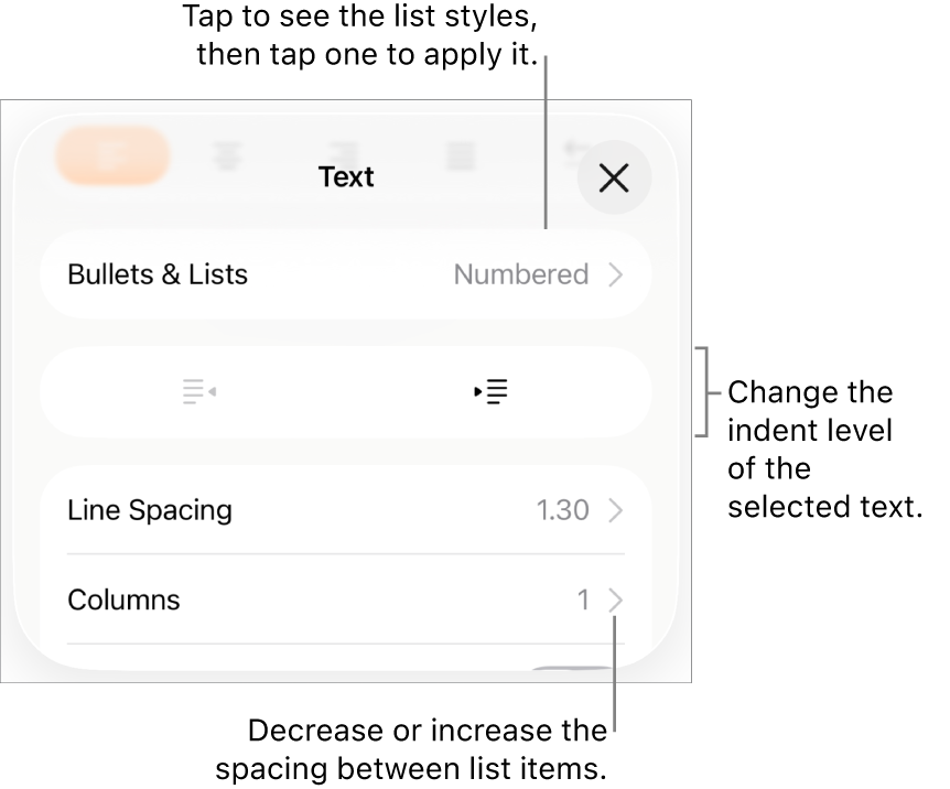 The Bullets & Lists section of the Format controls with callouts to Bullets & Lists, outdent and indent buttons, and line spacing controls.