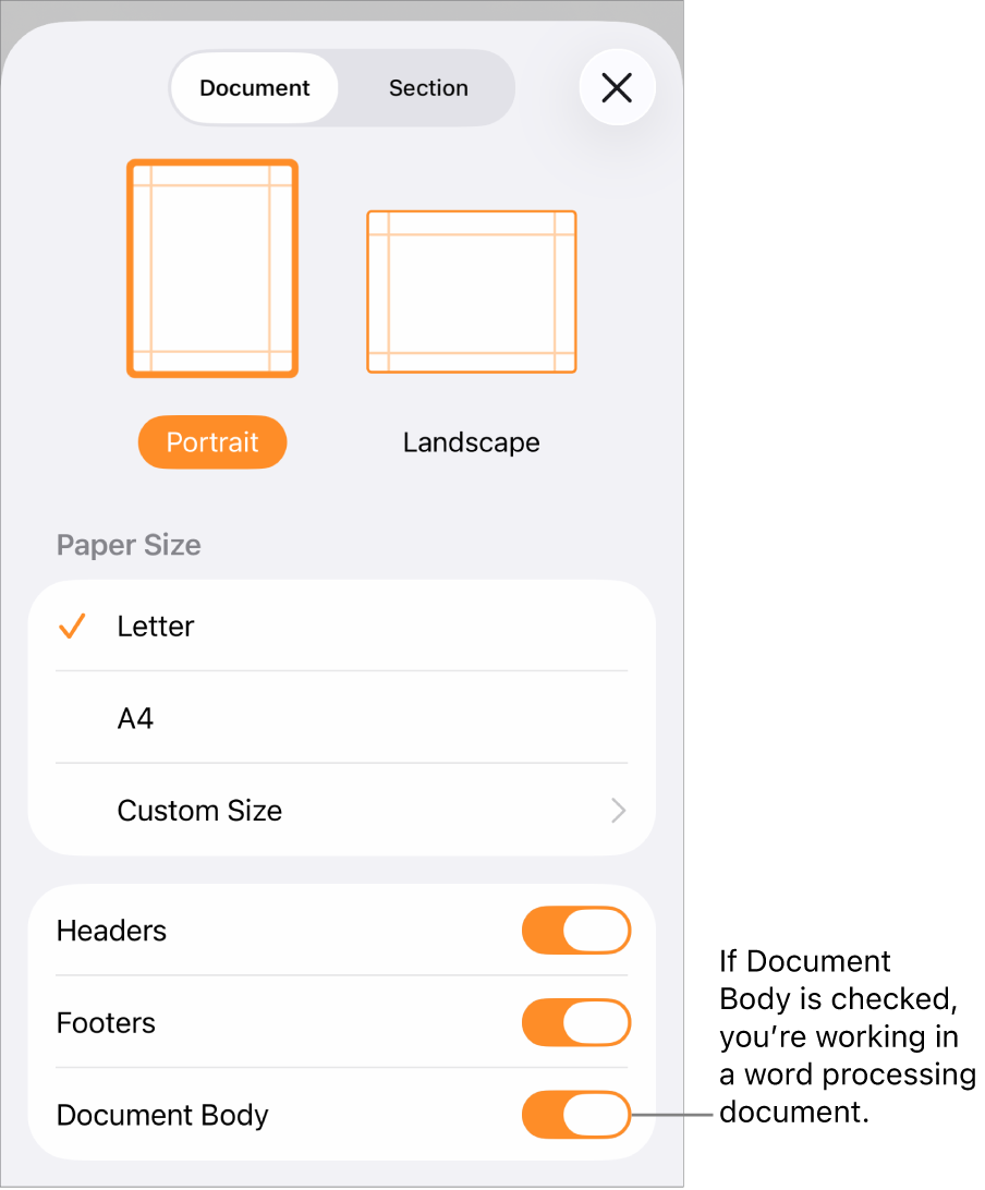 Document Setup open with Document Body checked in a word-processing document.