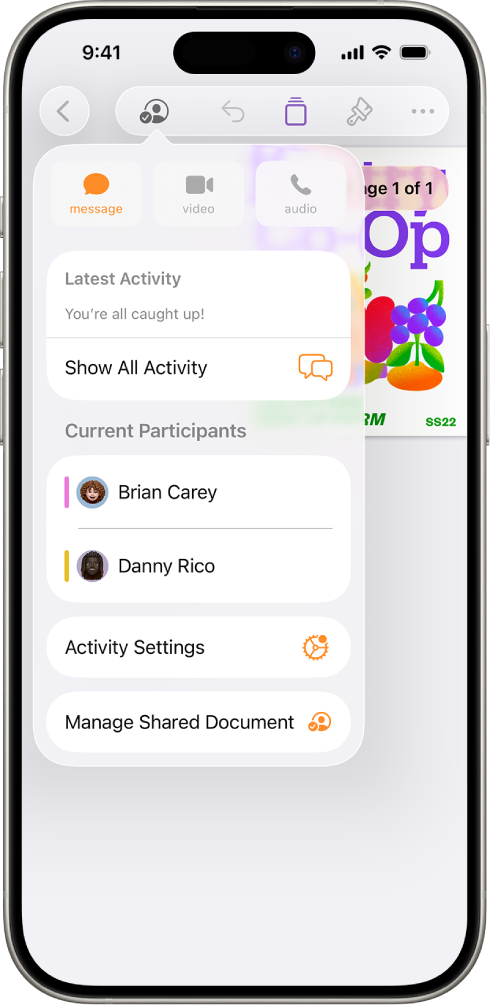 The collaboration menu showing the names of people collaborating on the document.