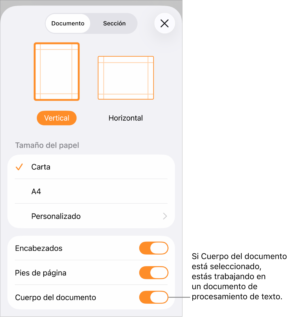 Configuración del documento abierta con la opción Cuerpo del documento marcada en un documento de procesamiento de texto.