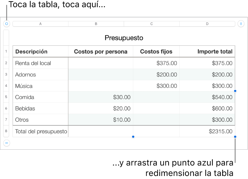 Una tabla seleccionada con puntos azules para redimensionarla.