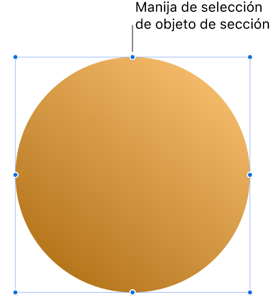 Un objeto con manijas de selección.