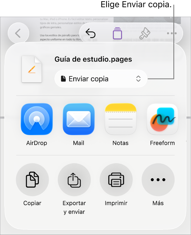 El menú Compartir con la opción Enviar copia seleccionada en la parte superior.