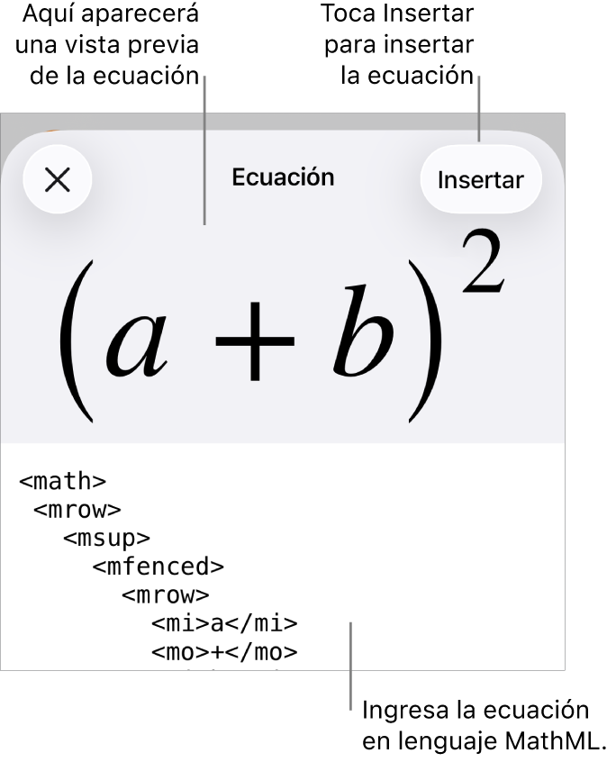 El cuadro de diálogo Ecuación con una ecuación escrita con comandos de MathML y una vista previa de la fórmula encima.