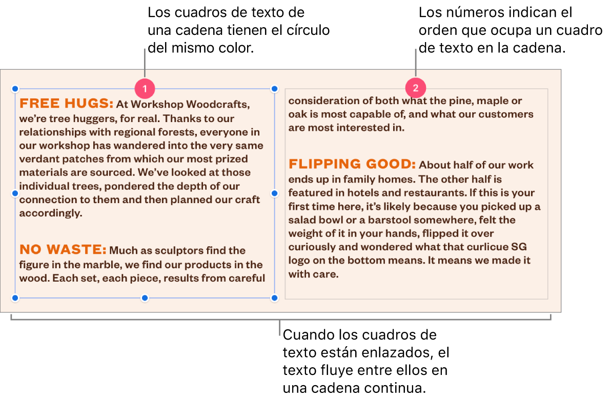 Dos cuadros de texto con círculos de color lila en la parte superior y los números 1 y 2 dentro de los círculos.