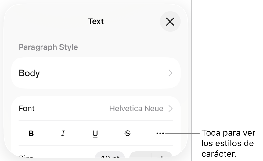 Los controles de Formato con los botones Negrita, Cursiva, Subrayado, Tachado y “Más opciones de texto”