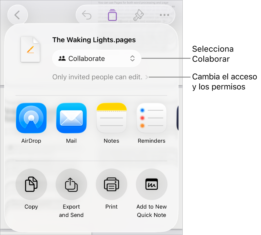 El menú Compartir con la opción Colaborar seleccionada en la parte superior y los ajustes de acceso y permisos debajo.