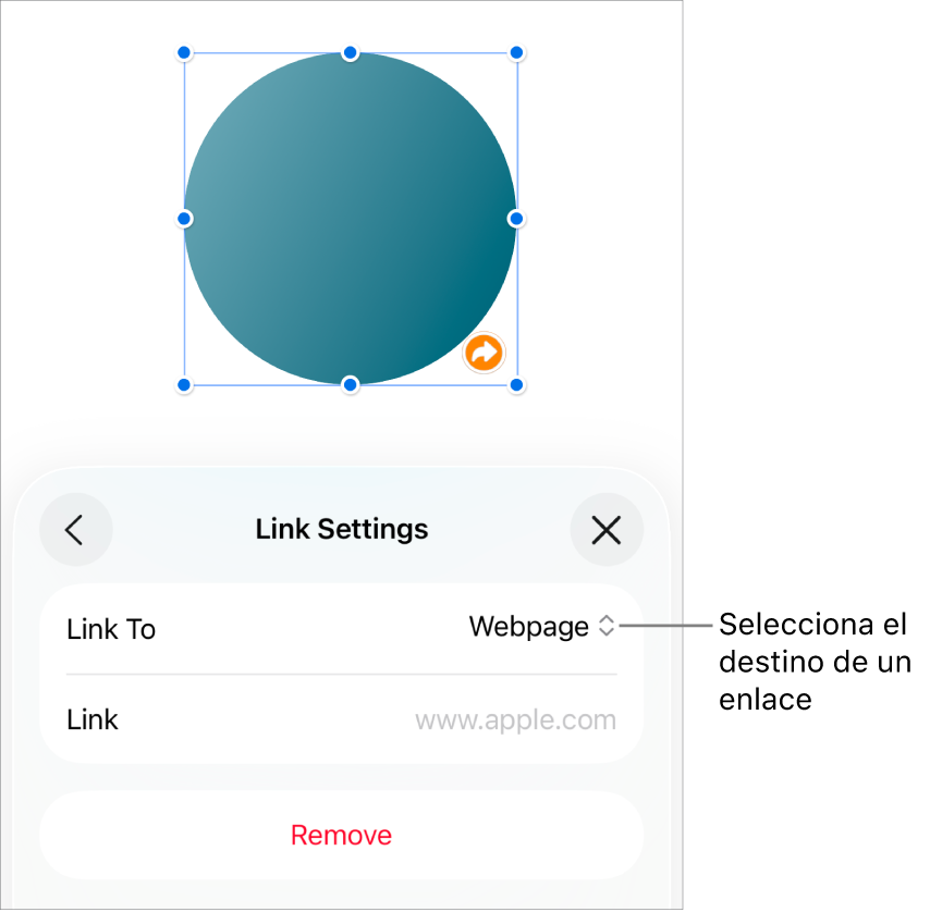 Controles de “Ajustes de enlace” con la opción “Página web” seleccionada y el botón Eliminar en la parte inferior.
