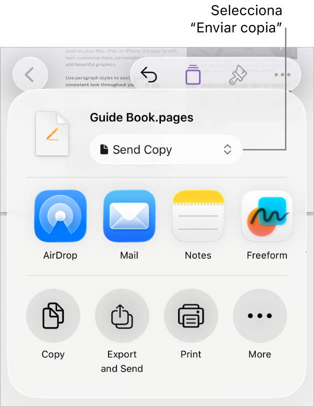 El menú Compartir con la opción “Enviar copia” seleccionada en la parte superior.