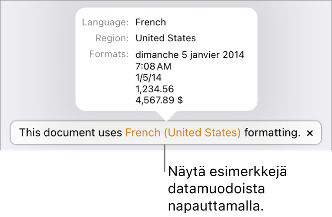 Eri kieli- ja alueasetuksen ilmoitus, jossa on esimerkkejä kyseisen kielen ja alueen muotoilusta.
