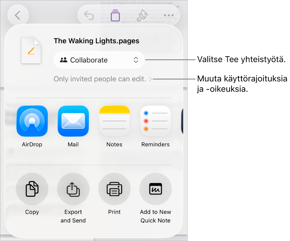Jaa-valikko, jossa on ylhäällä valittuna Tee yhteistyötä, ja sen alla ovat käyttöoikeus- ja lupa-asetukset.