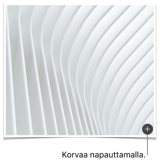 Korvaa kuva -painikkeen kuva.