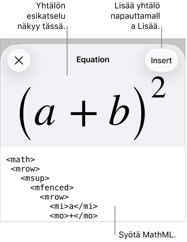 Yhtälö-valintaikkuna, jossa näkyy MathML-komentoja käyttäen syötetty yhtälö, ja yllä kaavan esikatselu.