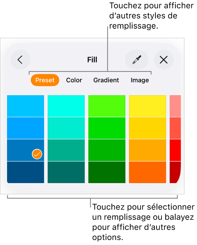Options de remplissage de l’onglet Style du bouton Format.