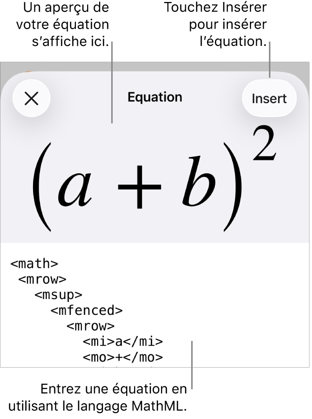 Zone de dialogue Équation, affichant une équation composée à l’aide des commandes MathML et aperçu de la formule au-dessus.