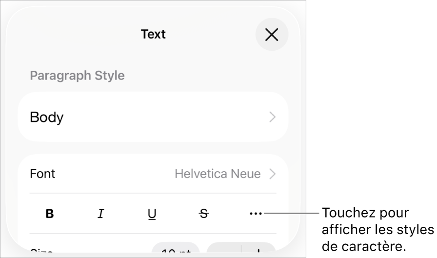 Les commandes Format avec les boutons Gras, Italique, Souligné, Barré et Plus d’options de texte.
