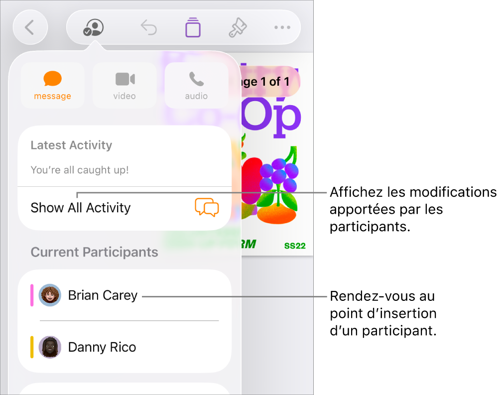 Le menu de collaboration avec la liste des participants actuels.