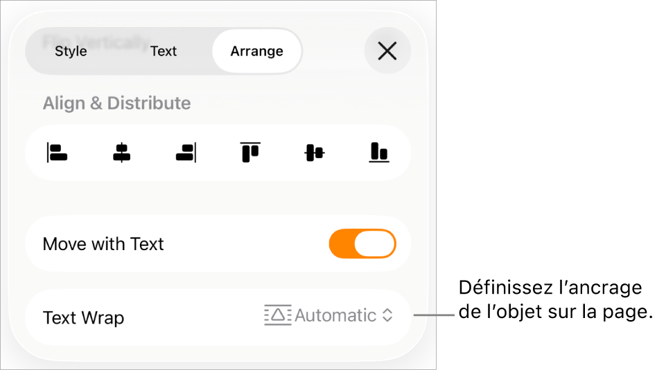 Commandes Disposition avec les options Déplacer avec texte et Ajustement du texte.