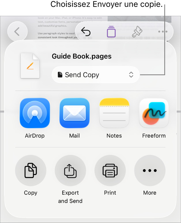 Le menu Partager avec l’option Envoyer une copie sélectionnée dans le haut.