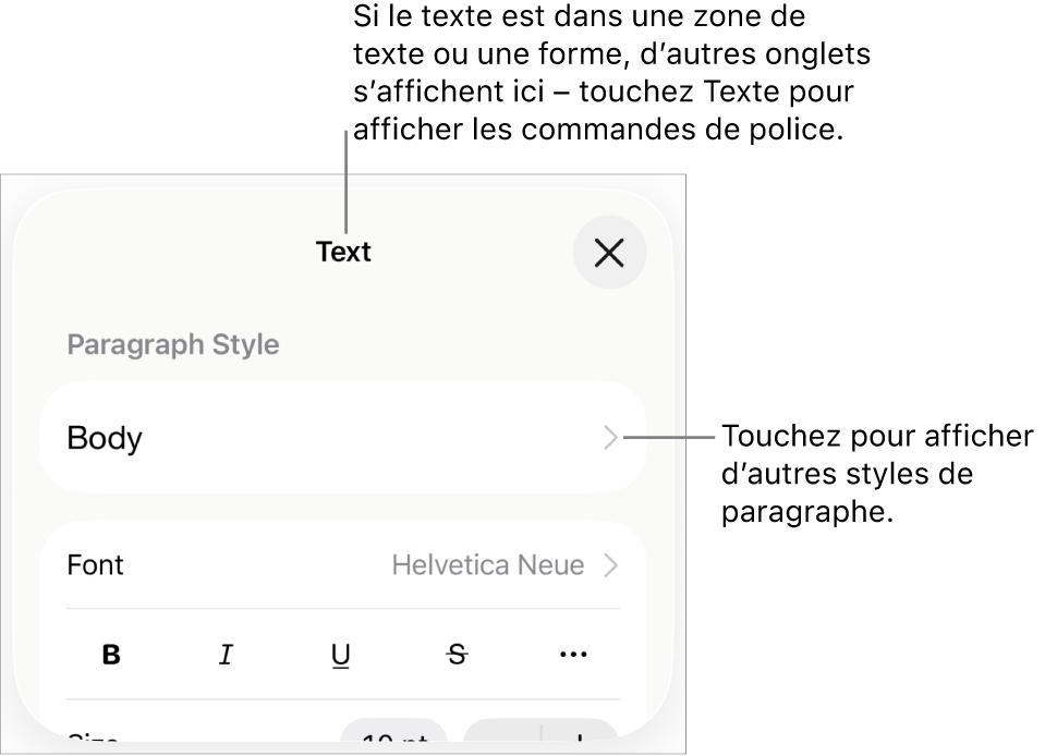 Menu Format avec commandes de texte permettant de définir les styles, la police, la taille et la couleur des paragraphes et des caractères.