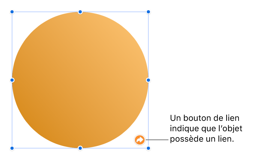 Un bouton de lien sur une forme.