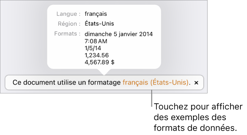 La notification du réglage de langue et de région différents, qui affiche des exemples de la mise en forme correspondant à cette langue et à cette région.