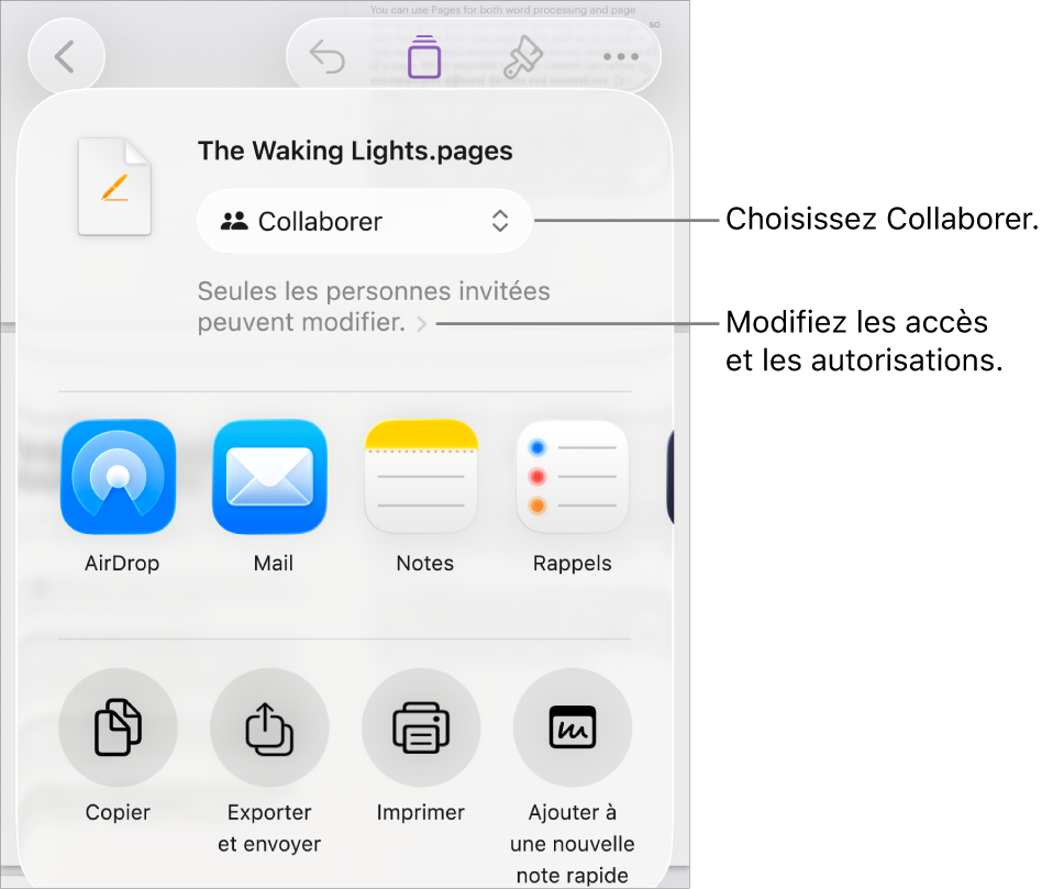 Le menu Partager avec l’option Collaborer sélectionnée en haut, et des réglages d’accès et d’autorisation en dessous.