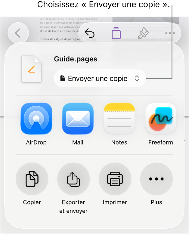 Le menu Partager avec l’option Envoyer une copie sélectionnée en haut.