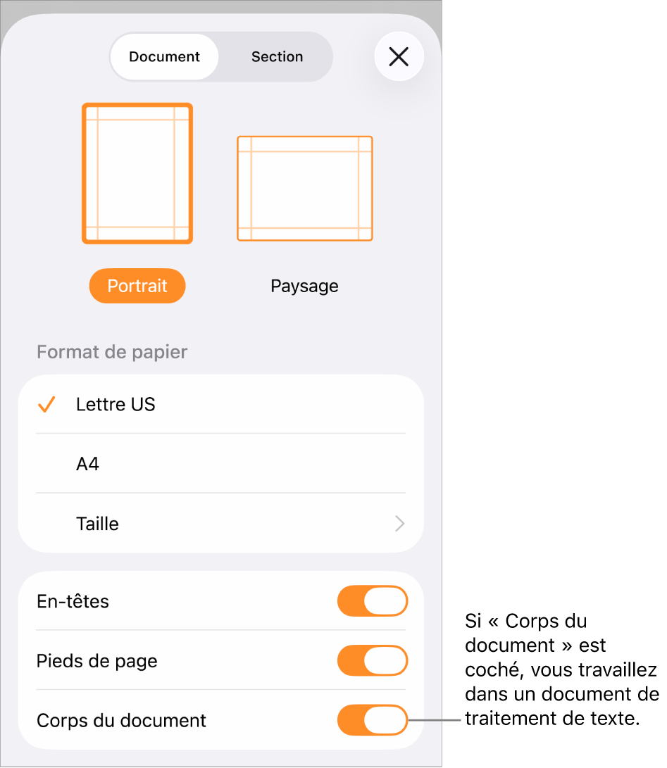 Section Mise en page ouverte avec l’option Corps du document cochée dans un document de traitement de texte.