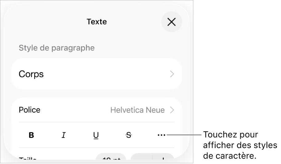 Les commandes de mise en forme, avec les boutons Gras, Italique, Souligné, Barré et « Plus d’options de texte ».