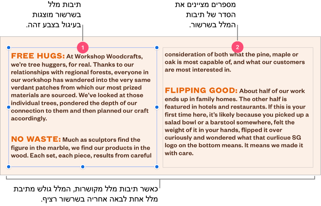 שתי תיבות מלל עם עיגולים סגולים בראשן והמספרים 1 ו‑2 בעיגולים.