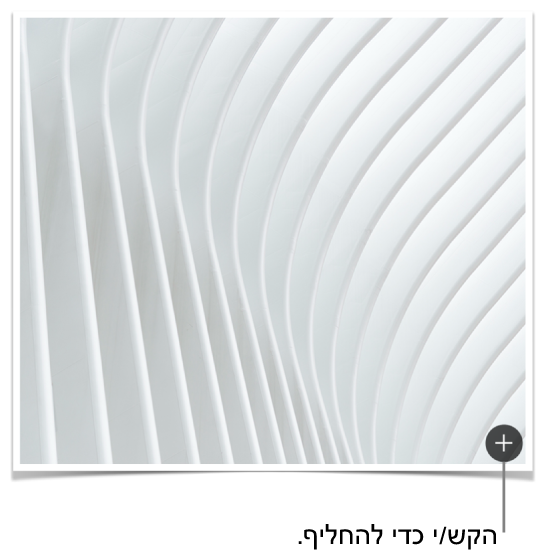 תמונה עם הכפתור ״החלף תמונה״.