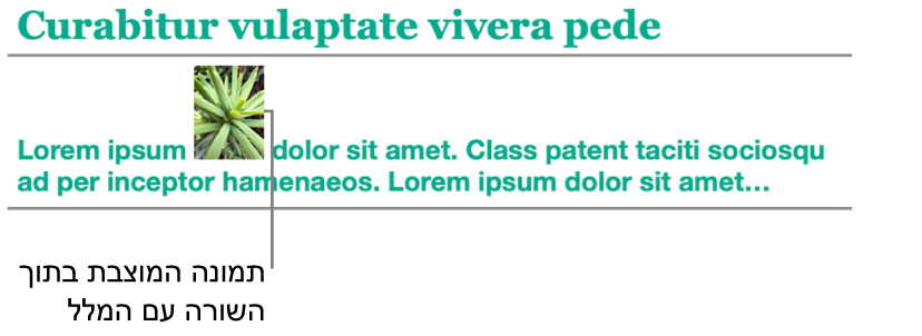 תמונה ממוקמת בתוך השורה עם המלל.