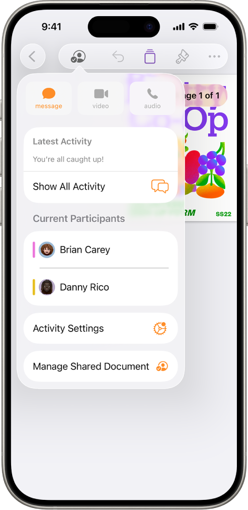 תפריט ״שיתוף פעולה״ מראה את שמות האנשים המשתפים פעולה בעבודה על המסמך.