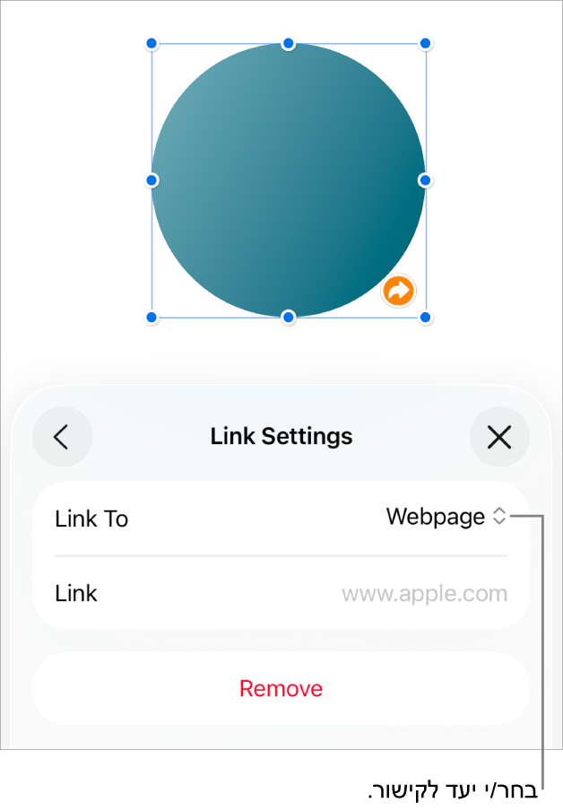 כלי הבקרה של ״אפשרויות קישור״ כאשר האפשרות ״עמוד אינטרנט״ נבחרת ובחלק התחתון מוצג הכפתור ״הסר״.