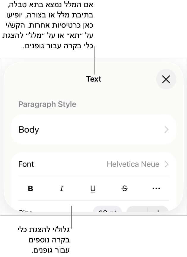 כלי בקרה של מלל בתפריט ״עיצוב״ להגדרת סגנונות, גופן, גודל וצבע עבור פיסקאות ותווים.