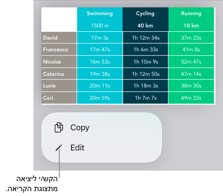 נבחרה טבלה, ומתחתיה מופיע תפריט עם הכפתורים ״העתק״ ו״עריכה״.