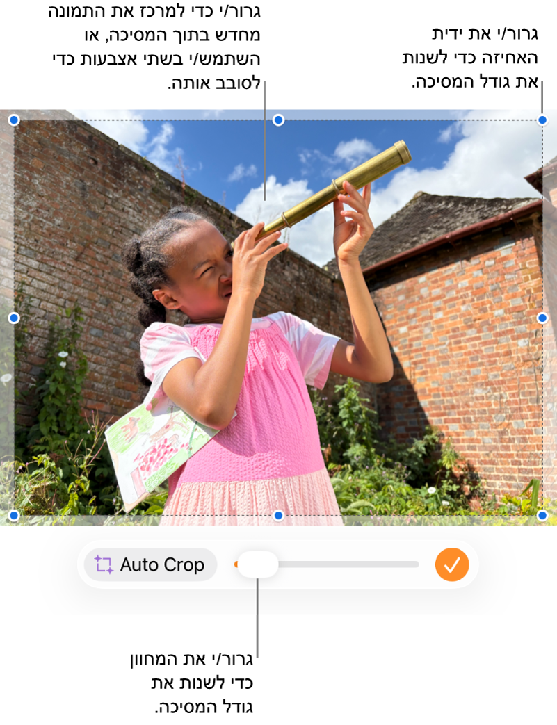 כלי בקרה של מיסוך מעל תמונה.