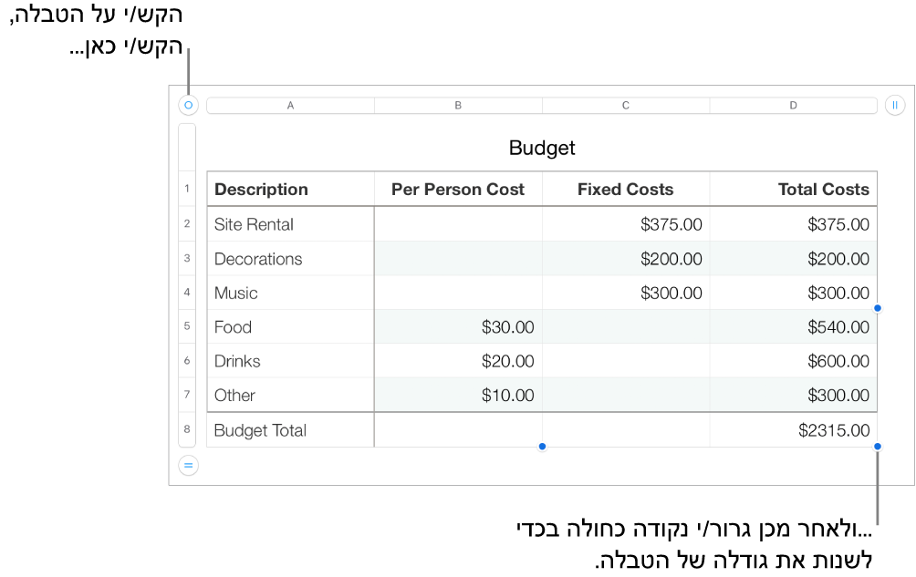 טבלה שנבחרה, עם נקודות כחולות לשינוי גודל.