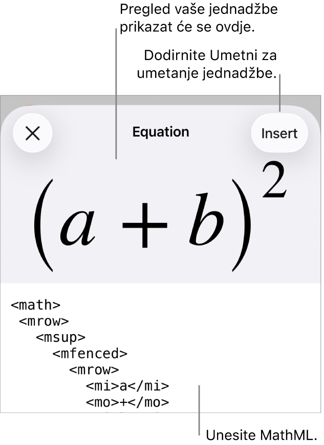 Dijaloški okvir Jednadžba koji prikazuje jednadžbu napisanu korištenjem MathML naredbi i prikaz gornje formule.
