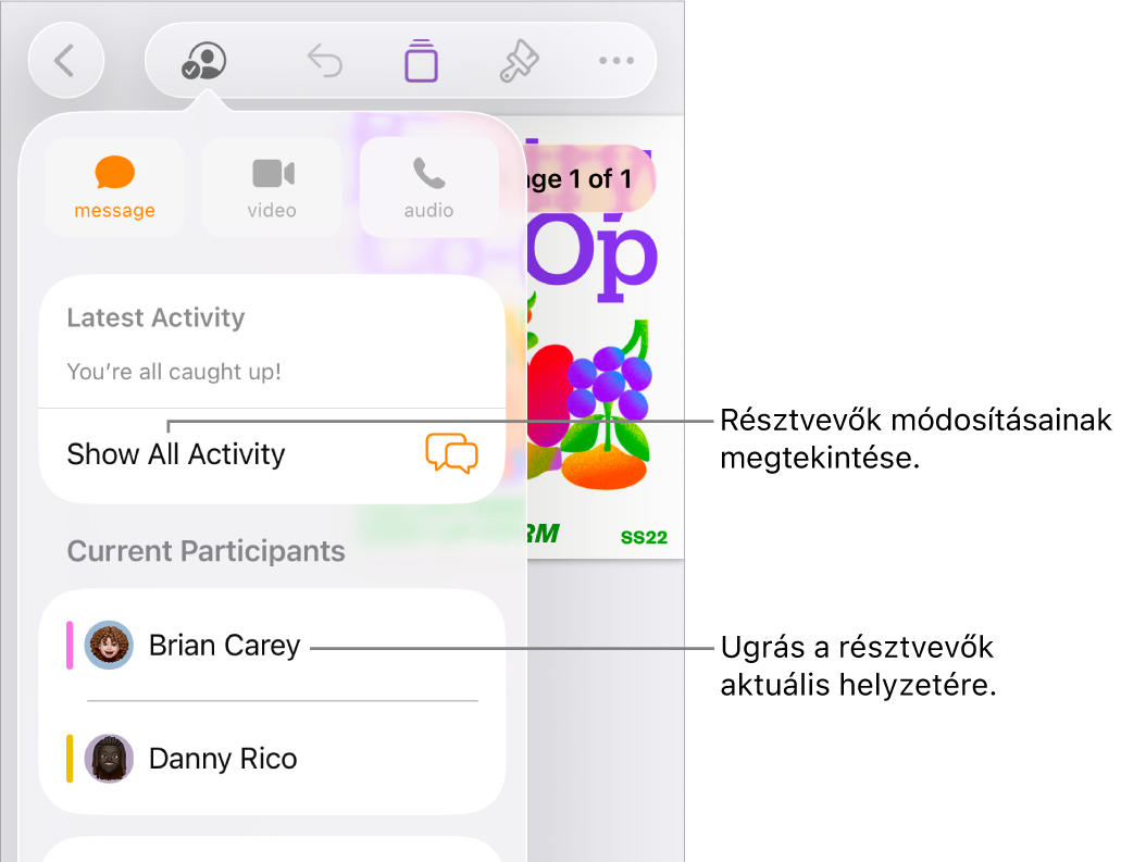 Az együttműködési menü a jelenlegi résztvevőkkel.