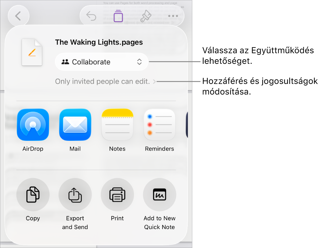 A Megosztás menü a felül kijelölt Együttműködés lehetőséggel, és az alatt látható hozzáférési és jogosultsági beállításokkal.