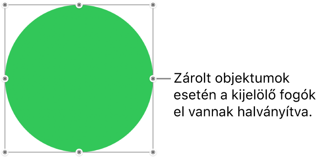 Zárolt objektum elhalványított kijelölőfogantyúkkal.